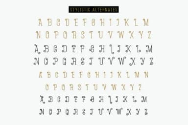 Sorry Facking by WildaKhairunnisa — Slab Serif Font — thumbnail 5