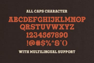 South Montana by Rillatype — Slab Serif Font — thumbnail 7