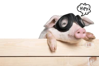 Speech Bubbles by Bee piyanuch — Dingbats Font — thumbnail 3