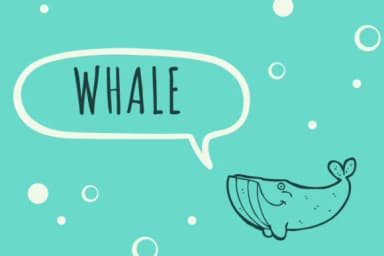 Speech Bubbles by Heartcraft Atelier — Dingbats Font — thumbnail 6