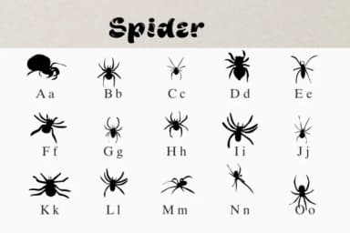 Spider by Nongyao — Dingbats Font — thumbnail 2