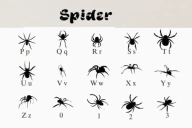 Spider by Nongyao — Dingbats Font — thumbnail 3