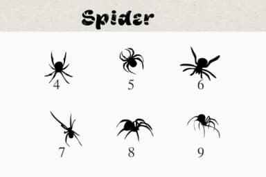 Spider by Nongyao — Dingbats Font — thumbnail 4