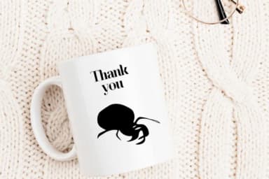 Spider by Nongyao — Dingbats Font — thumbnail 7