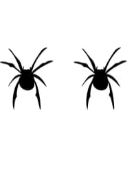 Spider by Nongyao — Dingbats Font — thumbnail 8