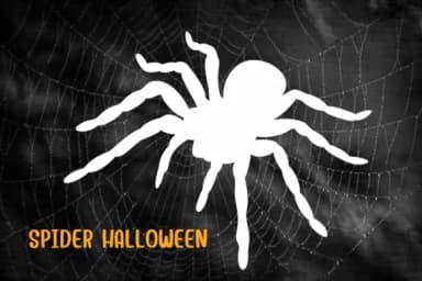 Spider Halloween by PraewDesigns — Dingbats Font — thumbnail 6