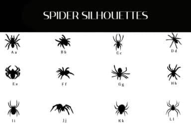 Spider Silhouettes by Heartcraft Atelier — Dingbats Font — thumbnail 2