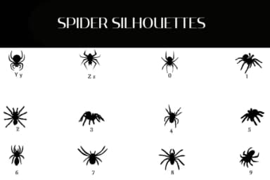 Spider Silhouettes by Heartcraft Atelier — Dingbats Font — thumbnail 4