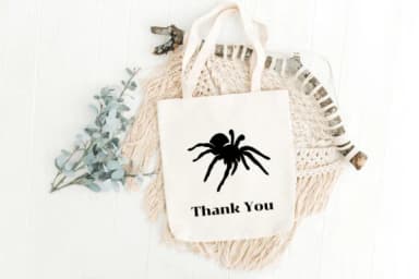 Spider Silhouettes by Heartcraft Atelier — Dingbats Font — thumbnail 7