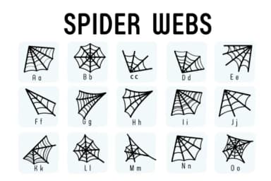 Spider Webs by Chada Art — Dingbats Font — thumbnail 2