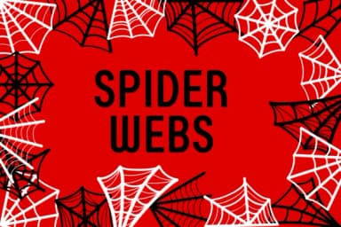 Spider Webs by Chada Art — Dingbats Font — thumbnail 5