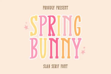 Spring Bunny by CraftedType Studio — Slab Serif Font — thumbnail 1