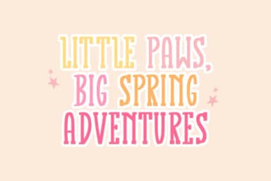 Spring Bunny by CraftedType Studio — Slab Serif Font — thumbnail 2