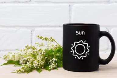 Spring Doodle by Sontaya — Dingbats Font — thumbnail 6