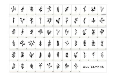 Spring Floral by YandiDesigns — Dingbats Font — thumbnail 2