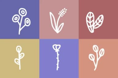 Spring Floral by YandiDesigns — Dingbats Font — thumbnail 3