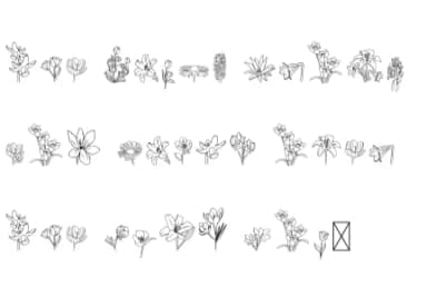 Spring Flower by GraphicHouseDesign — Dingbats Font — thumbnail 5