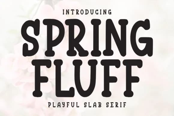 Spring Fluff by Letterayu — Slab Serif Font