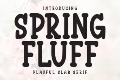 Spring Fluff by Letterayu — Slab Serif Font — thumbnail 1