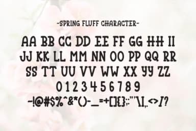 Spring Fluff by Letterayu — Slab Serif Font — thumbnail 6