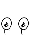 Spring Leaf by Chonada — Dingbats Font — thumbnail 7