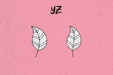 Spring Leaves by Minimalistartstudio — Dingbats Font — thumbnail 5