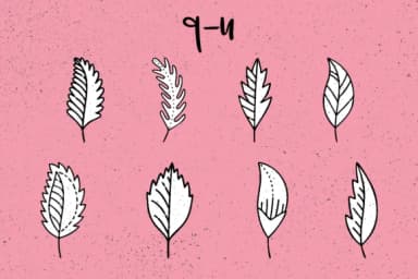 Spring Leaves by Minimalistartstudio — Dingbats Font — thumbnail 8