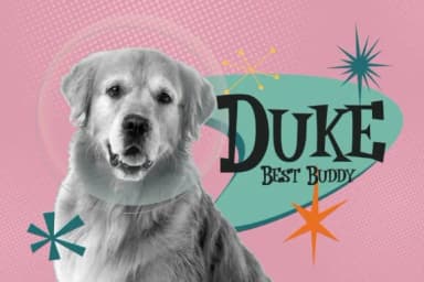 Star Mode by AMost Store — Slab Serif Font — thumbnail 3