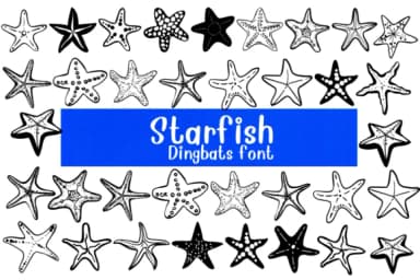 Starfish by Nongyao — Dingbats Font — thumbnail 1
