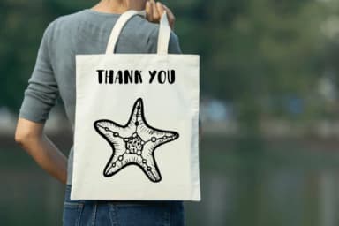 Starfish by Nongyao — Dingbats Font — thumbnail 7