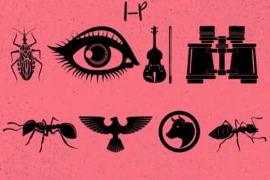 Stickers by Minimalistartstudio — Dingbats Font — thumbnail 3