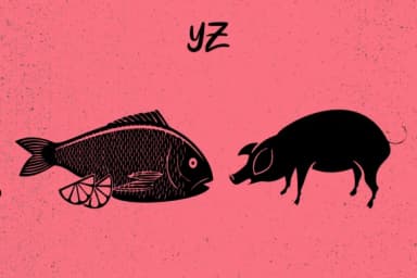 Stickers by Minimalistartstudio — Dingbats Font — thumbnail 5