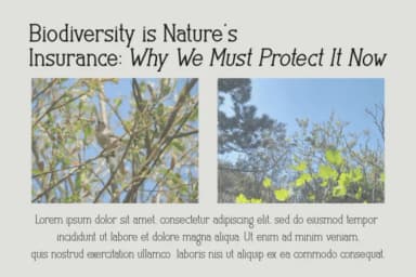 Stories Typewrite by Eystore — Slab Serif Font — thumbnail 3