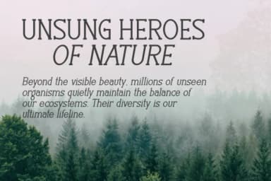 Stories Typewrite by Eystore — Slab Serif Font — thumbnail 7