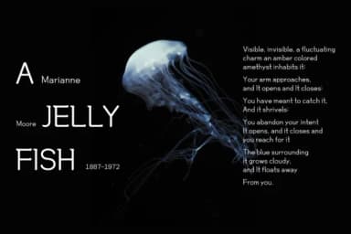 Story Serif by heummdesign — Slab Serif Font — thumbnail 6