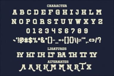 Straight Answer by SiapGraph — Slab Serif Font — thumbnail 6