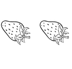 Strawberry by Nongyao — Dingbats Font — thumbnail 8