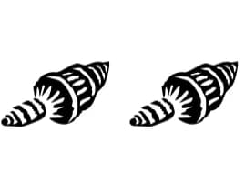 Summer Animal by PraewDesigns — Dingbats Font — thumbnail 8