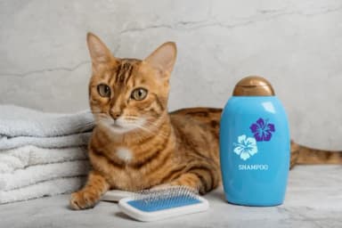 Summer Beach by Pui Art — Dingbats Font — thumbnail 5