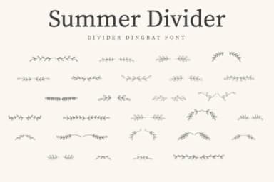Summer Divider by CraftedType Studio — Dingbats Font — thumbnail 1
