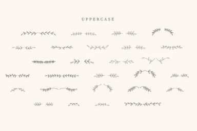 Summer Divider by CraftedType Studio — Dingbats Font — thumbnail 2