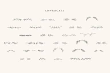 Summer Divider by CraftedType Studio — Dingbats Font — thumbnail 3