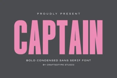 Summer Divider by CraftedType Studio — Dingbats Font — thumbnail 5