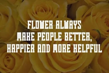 Summer Flowers by Pian45 — Slab Serif Font — thumbnail 3