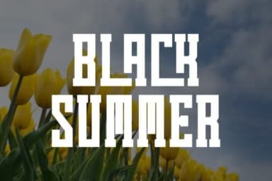 Summer Flowers by Pian45 — Slab Serif Font — thumbnail 5