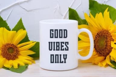 Summer Flowers by Pian45 — Slab Serif Font — thumbnail 8