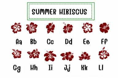 Summer Hibiscus by PraewDesigns — Dingbats Font — thumbnail 2