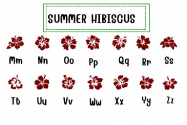Summer Hibiscus by PraewDesigns — Dingbats Font — thumbnail 3