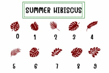 Summer Hibiscus by PraewDesigns — Dingbats Font — thumbnail 4