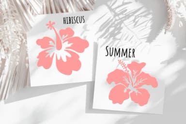 Summer Hibiscus by PraewDesigns — Dingbats Font — thumbnail 5